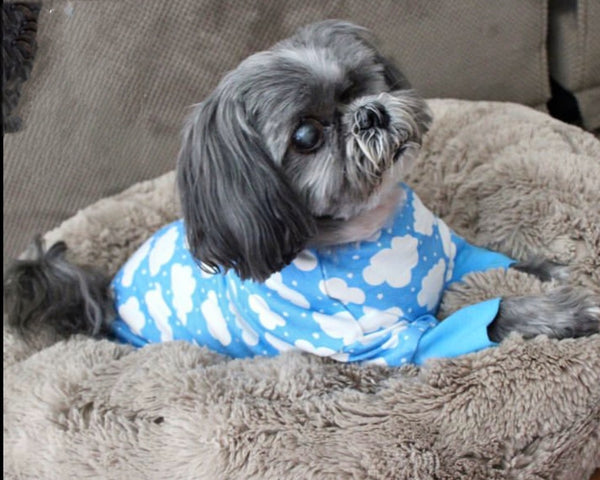 Cuddle Pup,Dog Pajamas - Fluffy Clouds