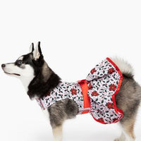 Christmas Dog Harness Dress - Holly