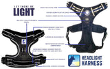 Headlight Dog Harness