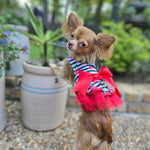 Cherry Stripe Harness dress with Matching Leash