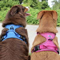 Venture Paw Pull Control Dog Harness Blue