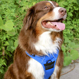 Venture Paw Pull Control Dog Harness Blue