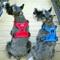 Venture Paw Pull Control Dog Harness Blue