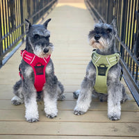 The Venture Paw Pull Crimson Red