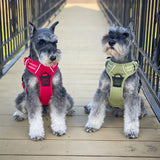 The Venture Paw Pull Crimson Red