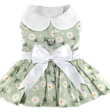 Mint Green Daisy Dog Dress with Matching Leash