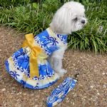 Catching Waves Dog Dress with Matching Leash