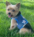 Dog Harness -  Catching Waves - with Leash