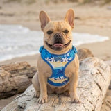 Wrap & Snap Choke Free Dog Harness - Catching Waves