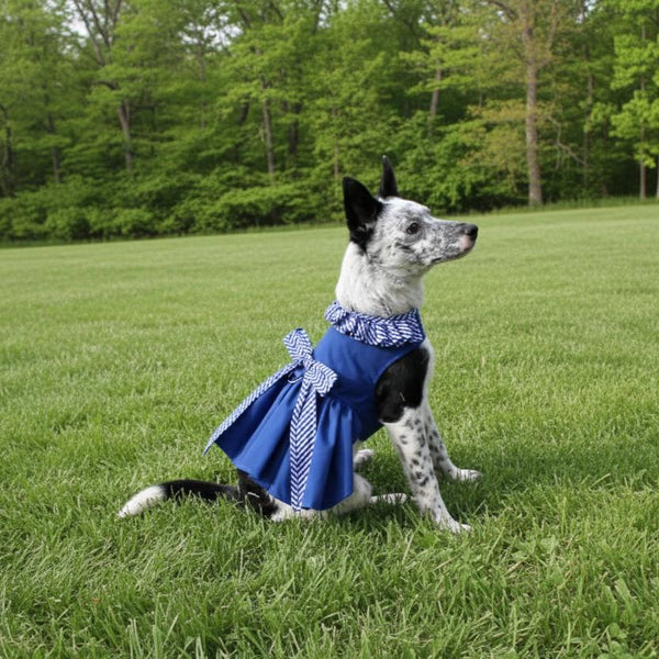 Blue Gingham Dog Dress with Matching Leash Gate Nine Boutique Blue Gingham Dog Dress with Matching Leash Gate Nine Boutique