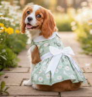 Mint Green Daisy Dog Dress with Matching Leash – Gate Nine Boutique