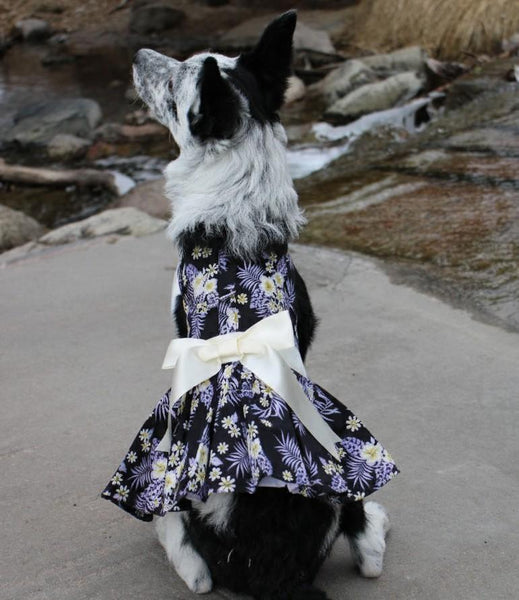 Mint Green Daisy Dog Dress with Matching Leash Gate Nine Boutique Mint Green Daisy Dog Dress with Matching Leash Gate Nine Boutique