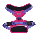 Venture Raw Pull Control Dog Harness
