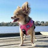 Venture Raw Pull Control Dog Harness