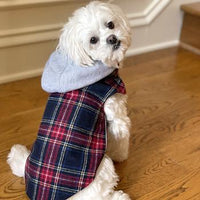 Weekender Dog Sweatshirt Hoodie