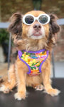 Wrap & Snap Choke Free Harness - Sunset Hibiscus
