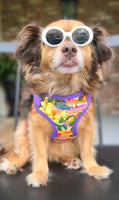 Wrap & Snap Choke Free Harness - Sunset Hibiscus