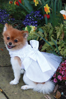 Bianca Rose Ribbon Dog Dress