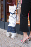 The Jane Denim Dog Skirt with Belt