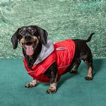 Weekender Dog Sweatshirt Hoodie - Red