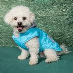 Weekender Dog Sweatshirt Hoodie - Light Blue