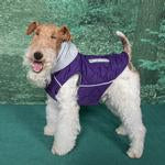 Weekender Dog Sweatshirt Hoodie - Purple