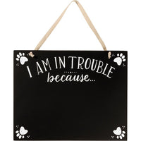 Hanging Decor - I’m in TROUBLE Because