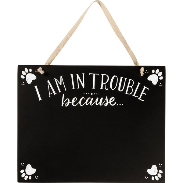 Hanging Decor - I’m in TROUBLE Because