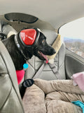 Noise Reducing Headsets for Dogs!