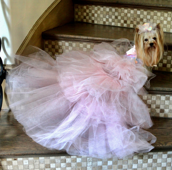 Pastel Pink Tulle and Iridescent Sequin Party Dress - Size S