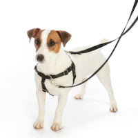 Royal Blue Freedom No-Pull Dog Harness w/ Leash