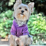 Flex-Fit Dog Hoodie - Purple