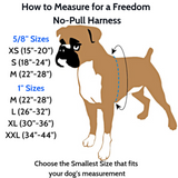 Black Freedom No-Pull Dog Harness w/ Leash