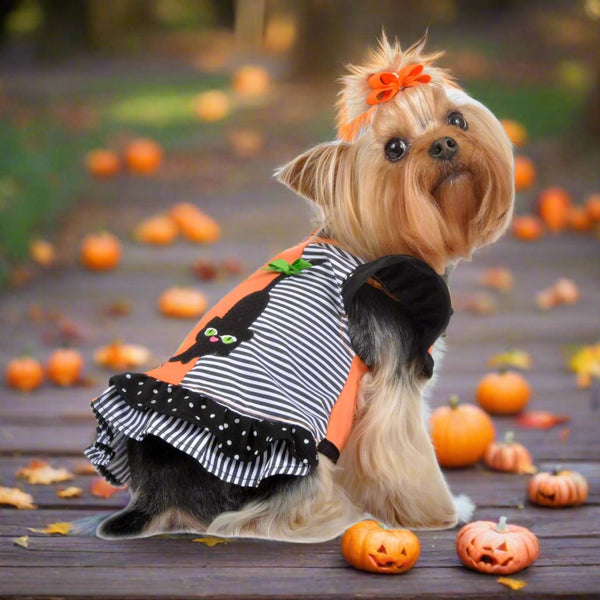 Black Cat Halloween Dress Gate Nine Boutique Black Cat Halloween Dress Gate Nine Boutique