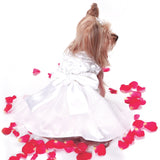 Bianca Rose Ribbon Dog Dress