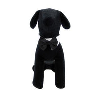 Black Satin Dog Bow Tie and Collar