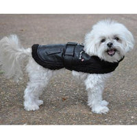 Black Top Dog Flight Coat