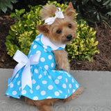 Blue Polka Dot Dog Dress with Matching Leash