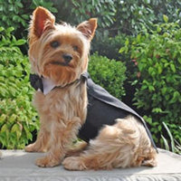 Dog Harness Tuxedo with Tails, Black