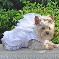 Doggie Wedding Harness Dress Set