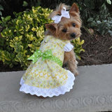 Emily Yellow Floral and Lace Dog Dress with Matching Leash