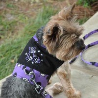 Halloween Dog Harness - Too Cute to Spook with Matching Leash - Matching Girl Doggie Dress Available