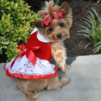 Christmas Candy Cane Harness Dress