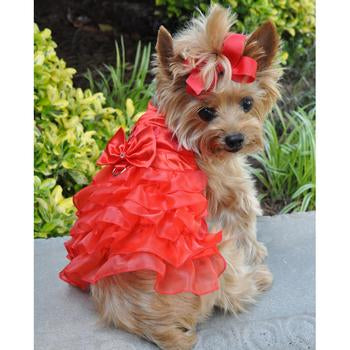 Red Dog Harness Dress - Red Satin - Size Large