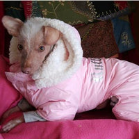 Pink Dog Snow Suit