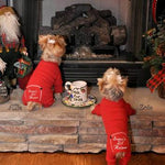 Christmas Dog Pajama - Santa's Lil Helper