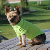 Doggie Polo - Green Flash
