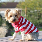 Striped Doggie Polo - Flame Scarlet Red and White