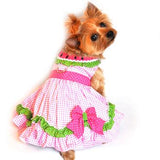 Watermelon Dog Dress!